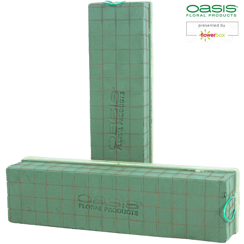 OASIS® ECObase® Raquette - 41 x 11 x 8,5 cm - 2 Stück