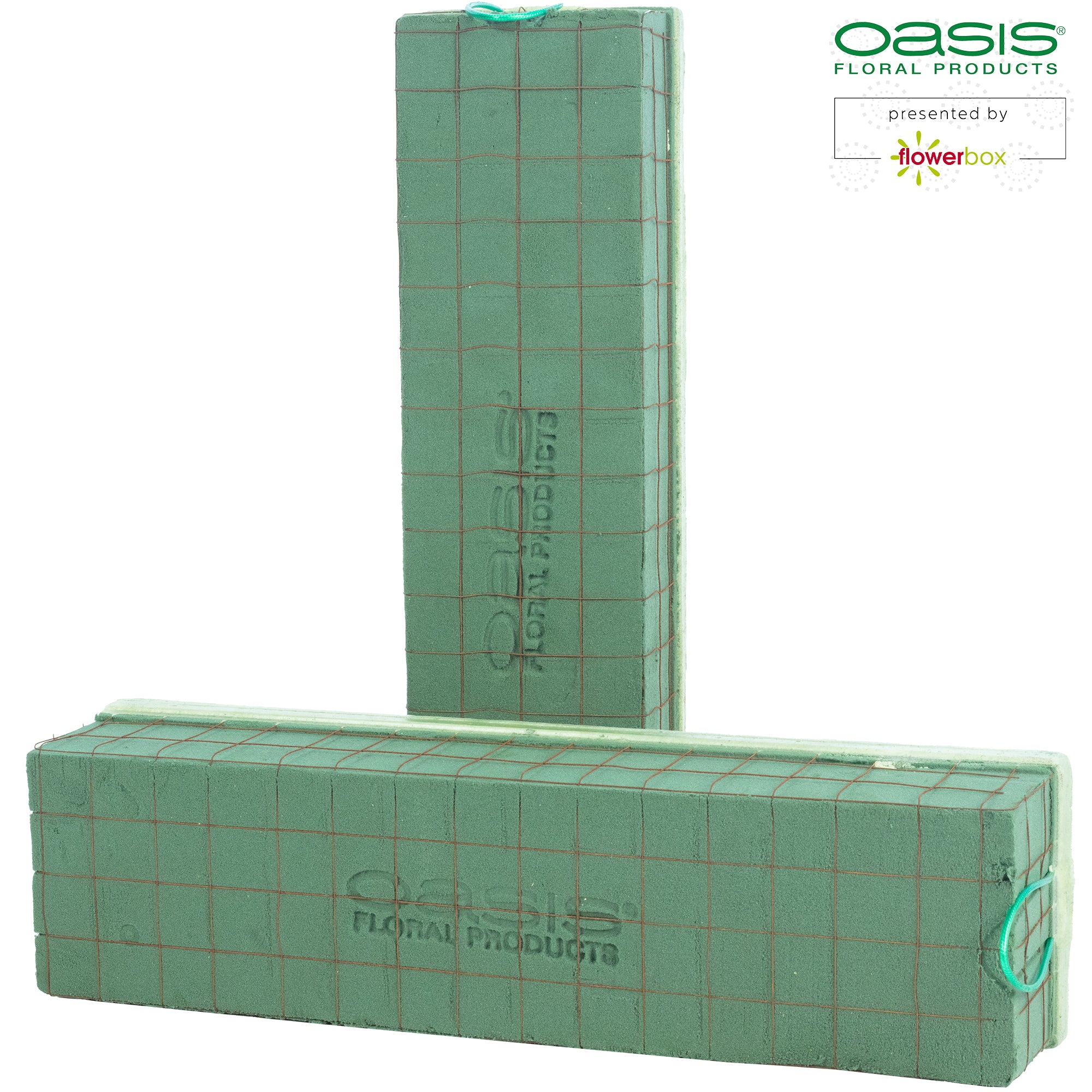 OASIS® ECObase® Raquette - 41 x 11 x 8,5 cm - 2 Stück