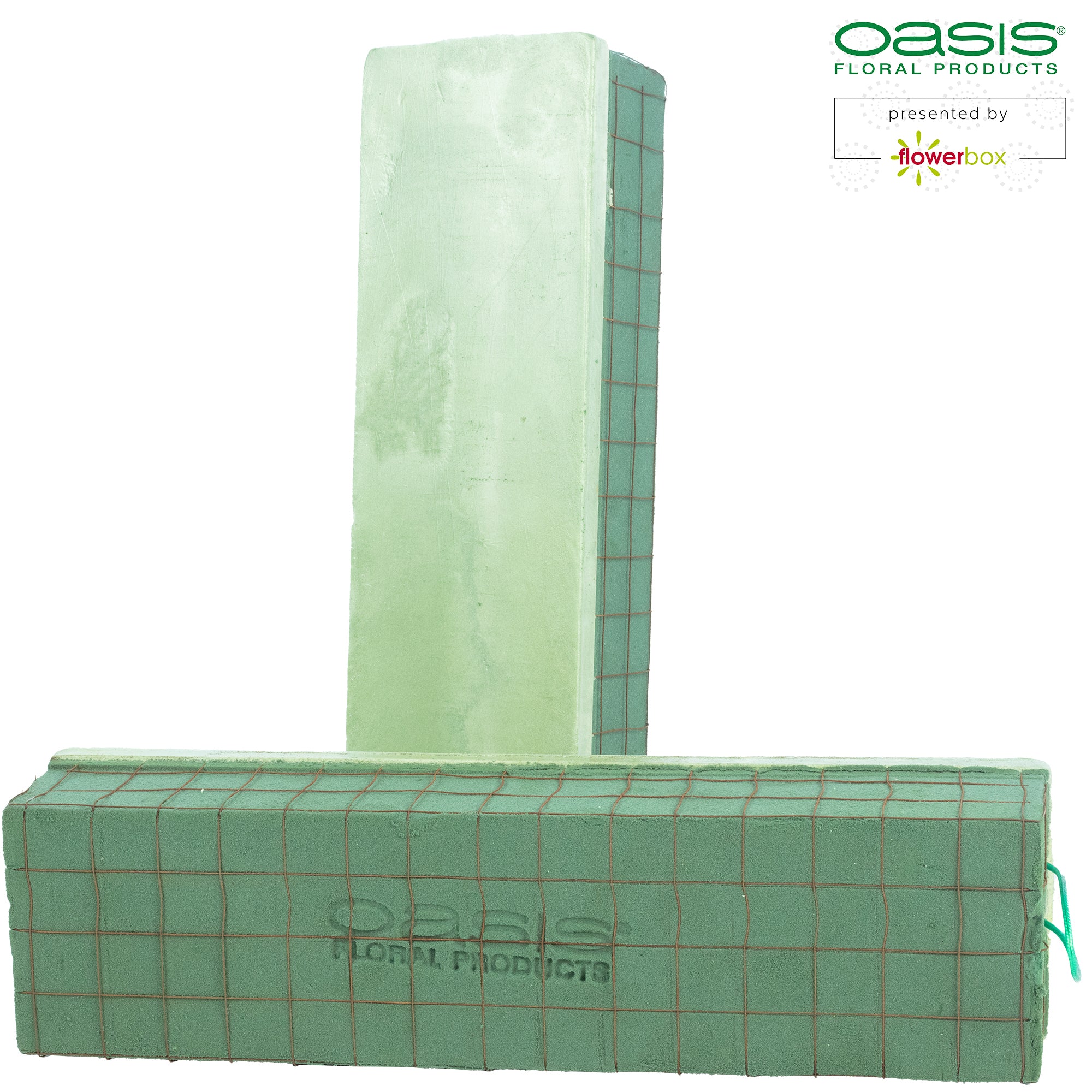 OASIS® ECObase® Raquette - 41 x 11 x 8,5 cm - 2 Stück