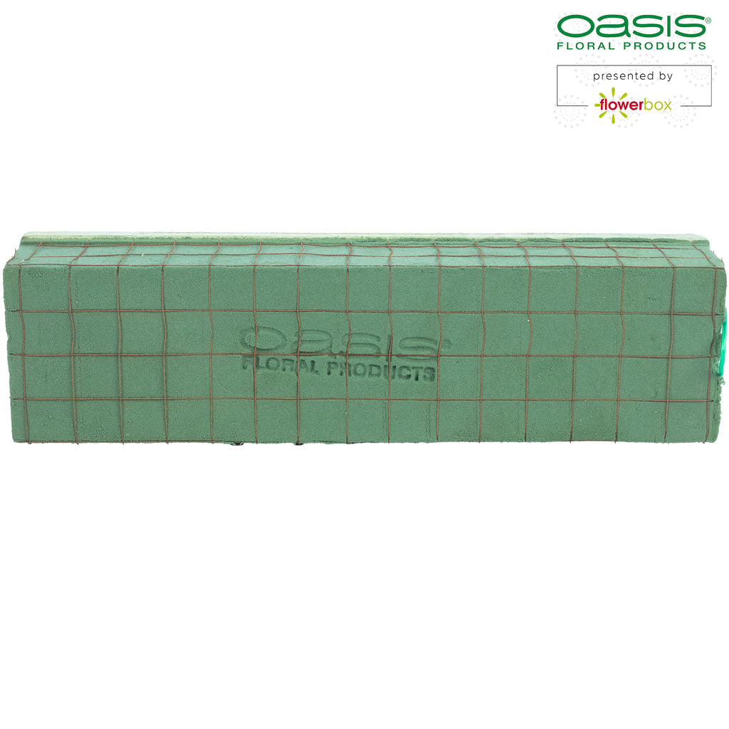 OASIS® ECObase® Raquette - 41 x 11 x 8,5 cm - 2 Stück