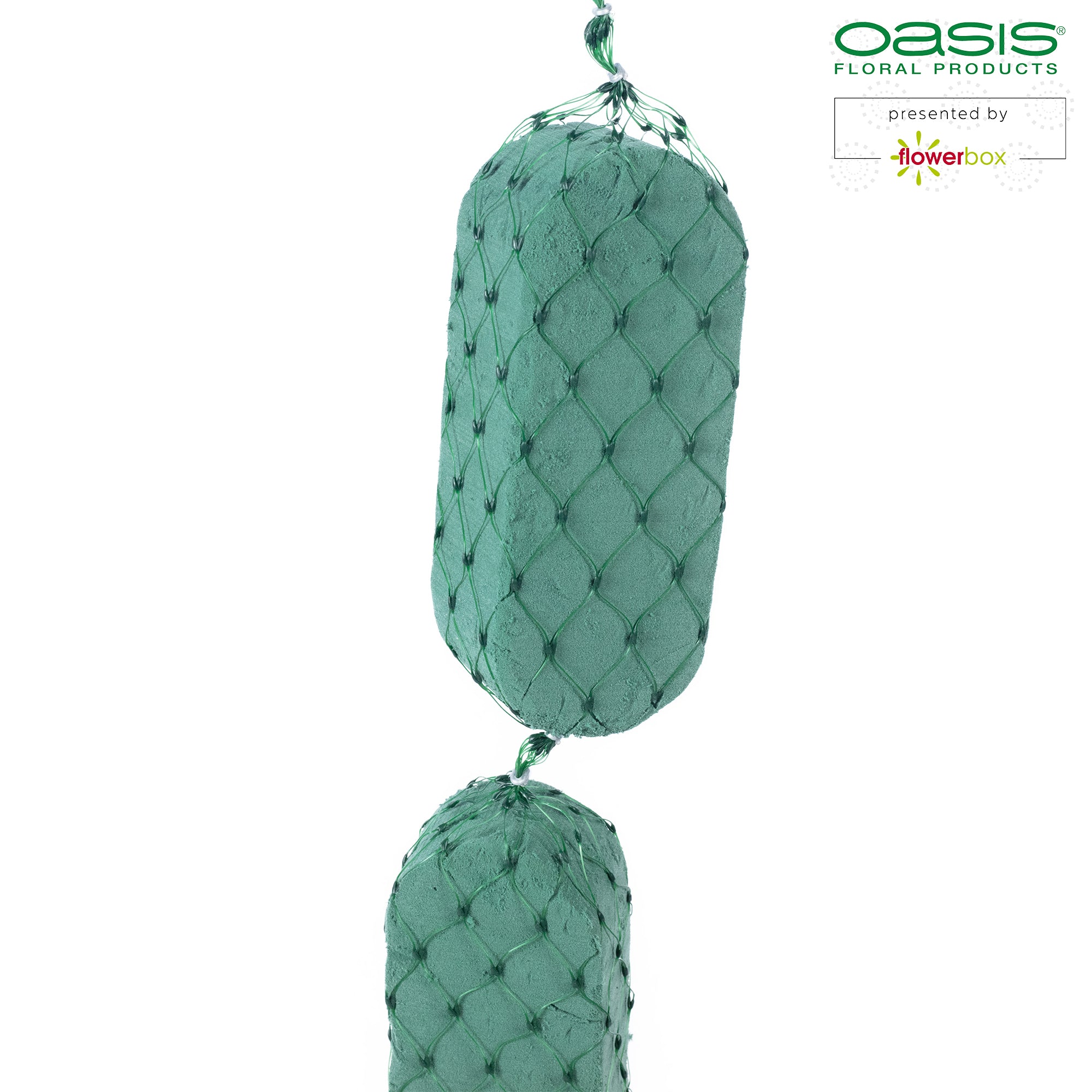 OASIS® Girlande flach, 2 m (8 Teile à 8 cm x 6 cm)