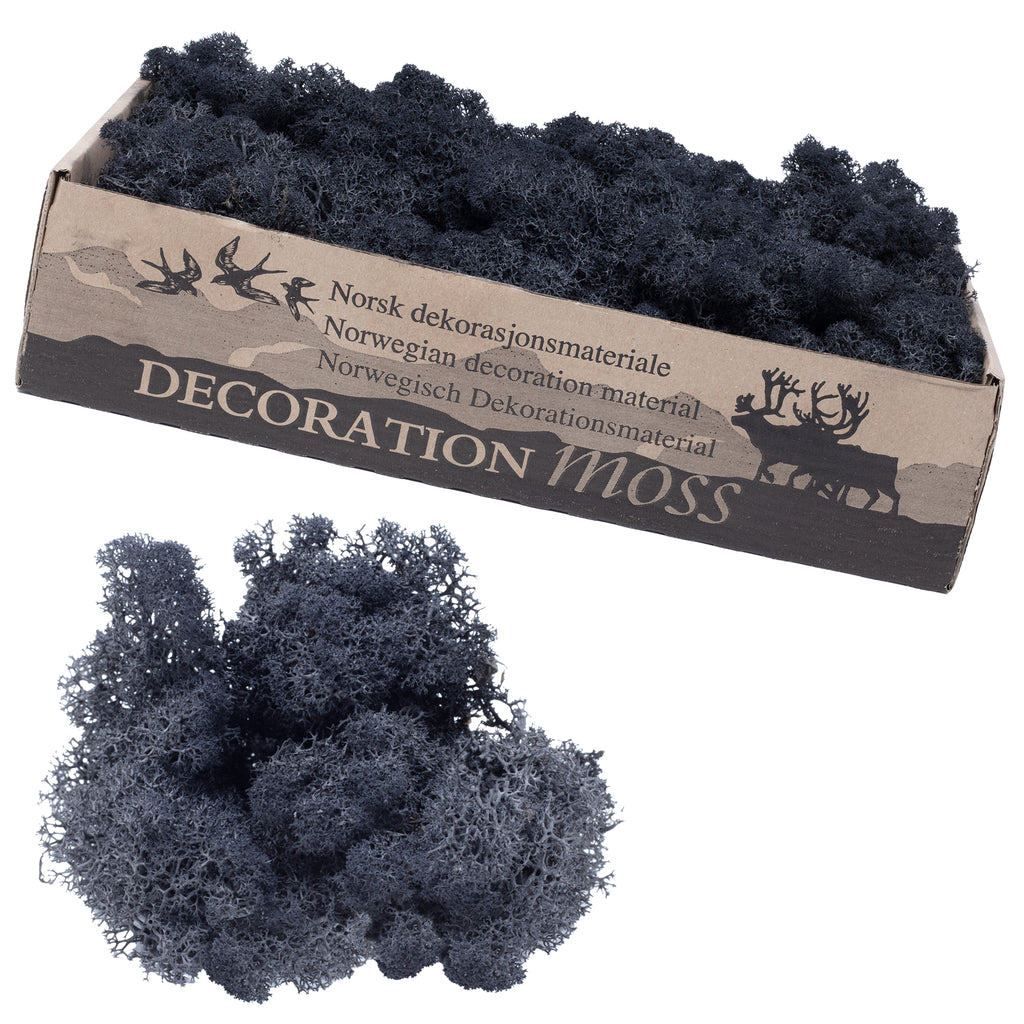 Mousse noire Cardboard Island - 500 g