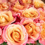 Blumenstrauß 'Miss Elegance' - Länge ca. 50 cm - Strauß frischer Rosen