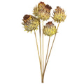 Artichoke on the stem - 5 pieces - natural