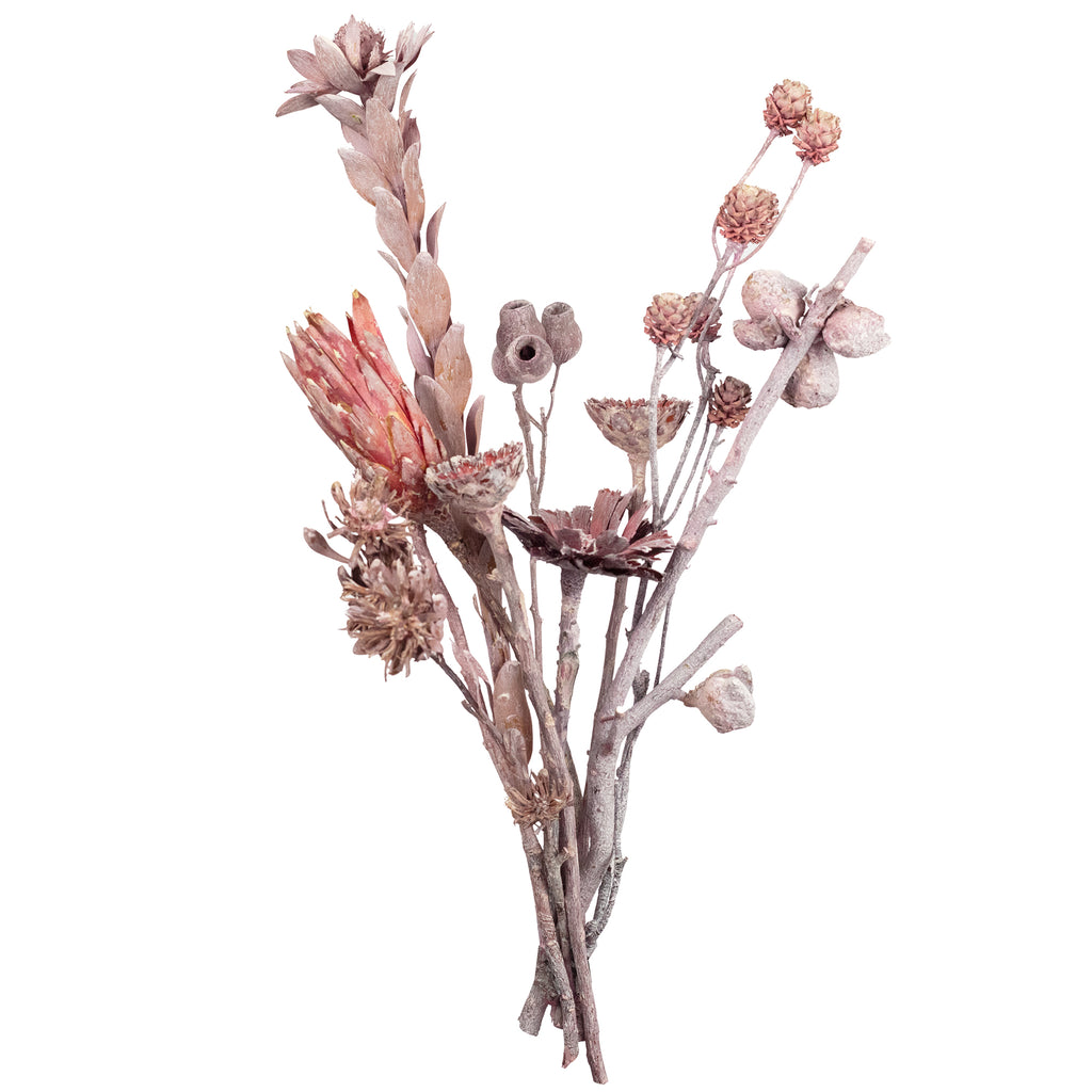 Assortiment de plantes exotiques FROST - 10 pièces - frost-erika