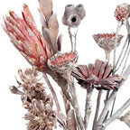 Assortiment de plantes exotiques FROST - 10 pièces - frost-erika