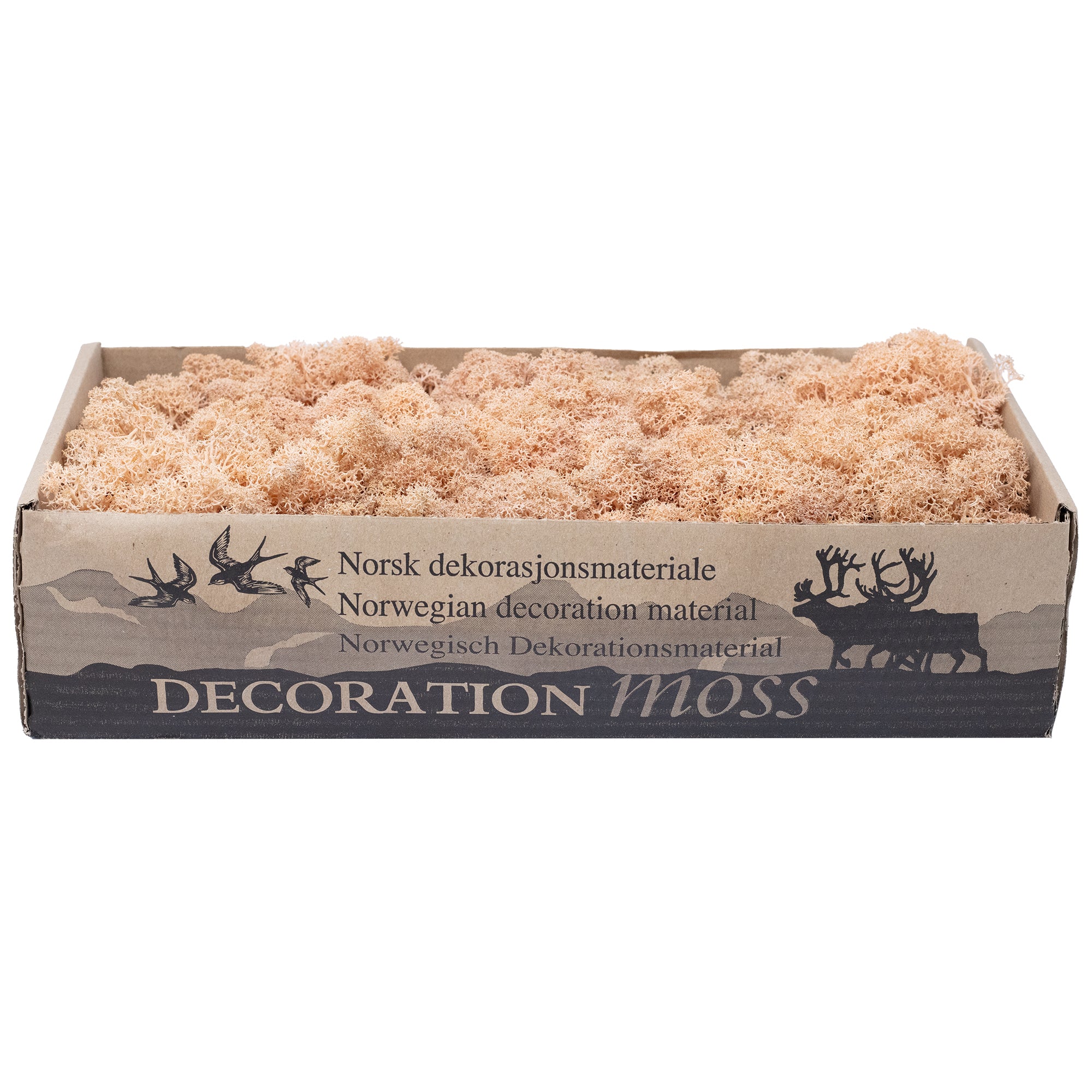 Box of reindeer moss apricot - 500g