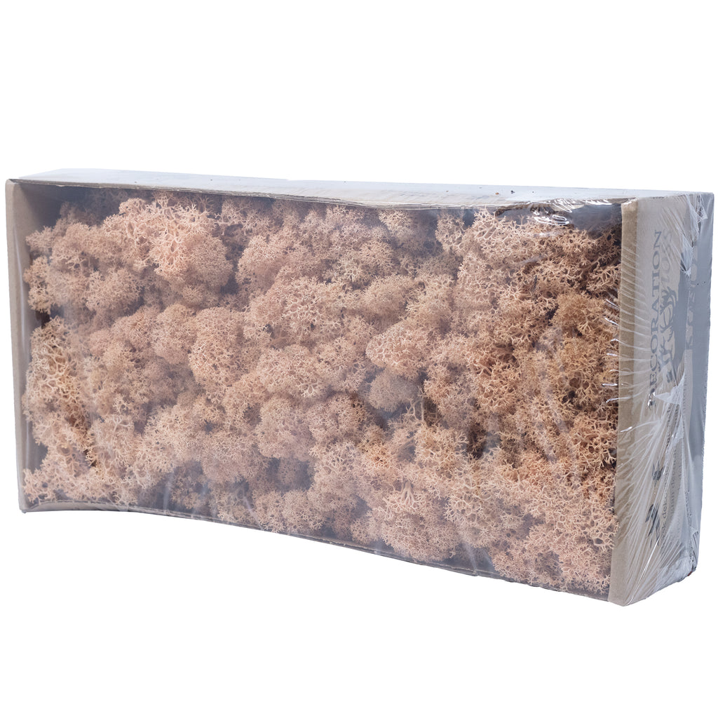 Box of reindeer moss apricot - 500g