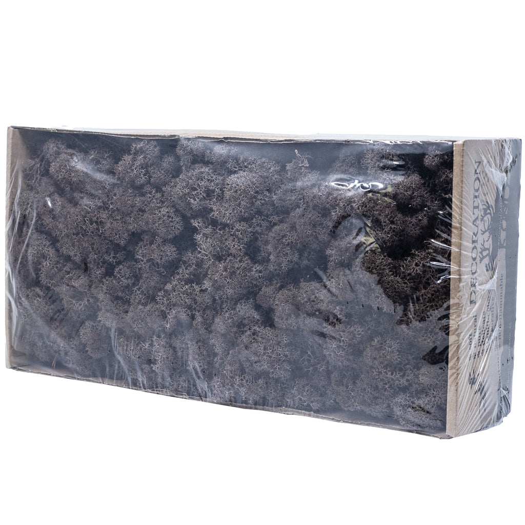 Karton Islandmoos Braun - 500g