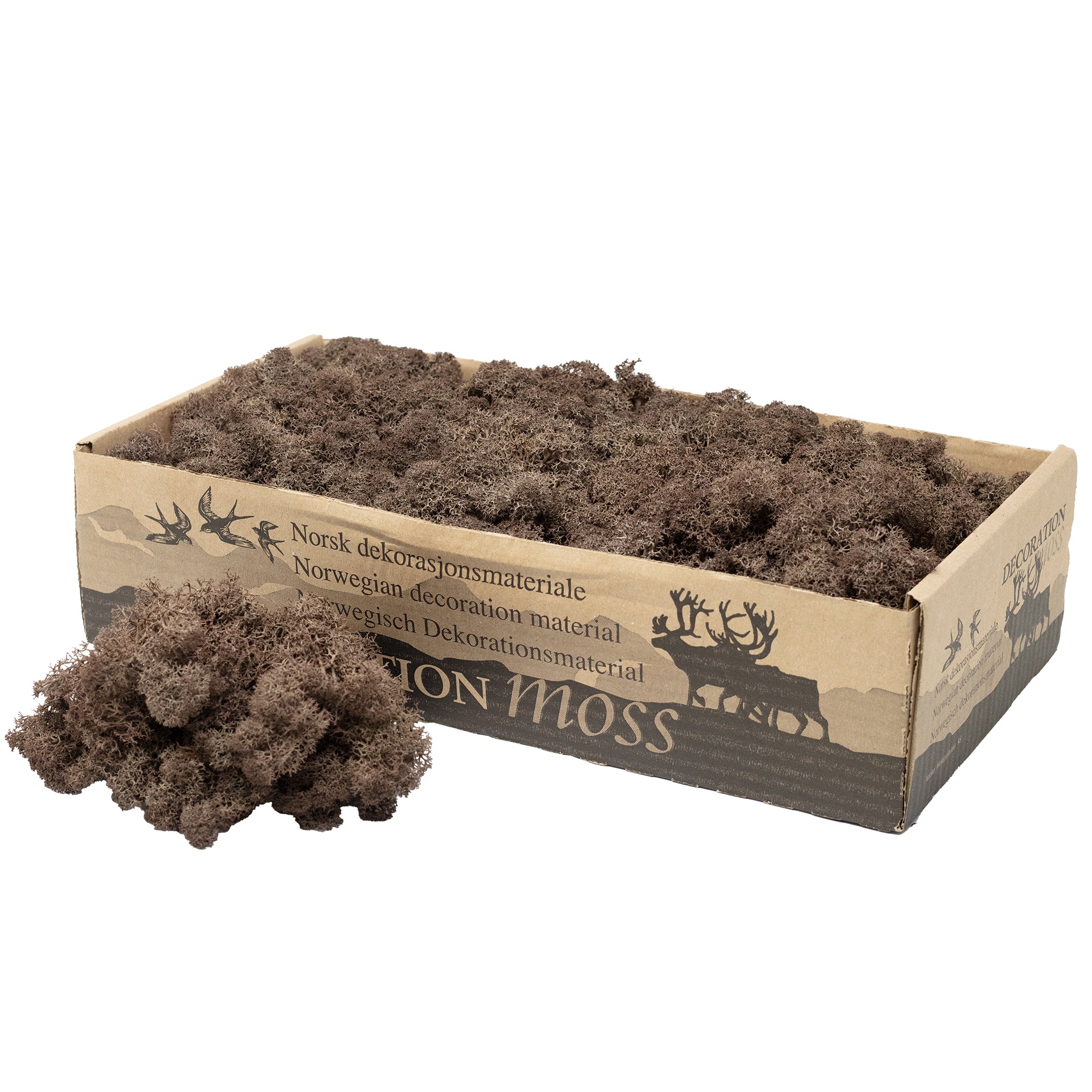 Karton Islandmoos Braun - 500g