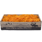 Karton Islandmoos Orange 500g