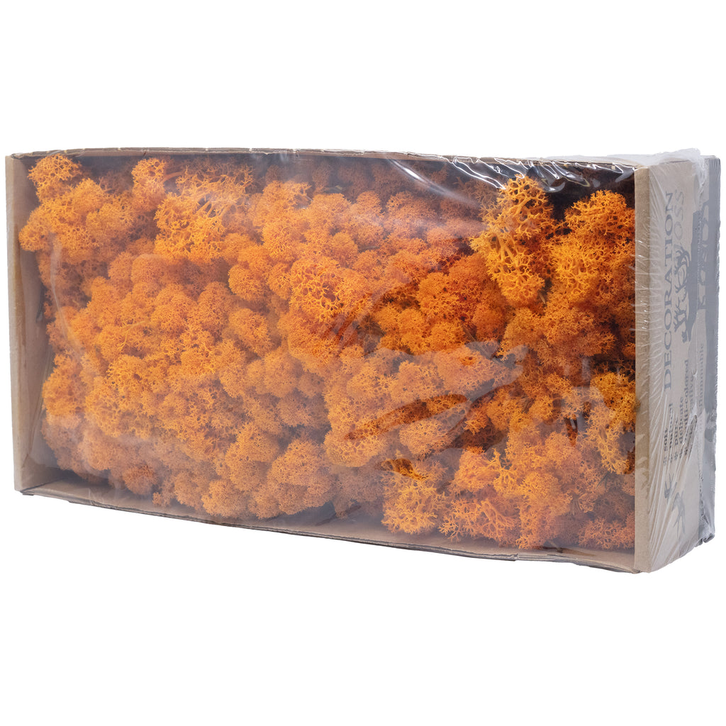 Cardboard Island Moss Orange 500g