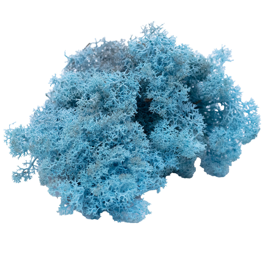 Karton Islandmoos Aquamarin/Hellblau 500g