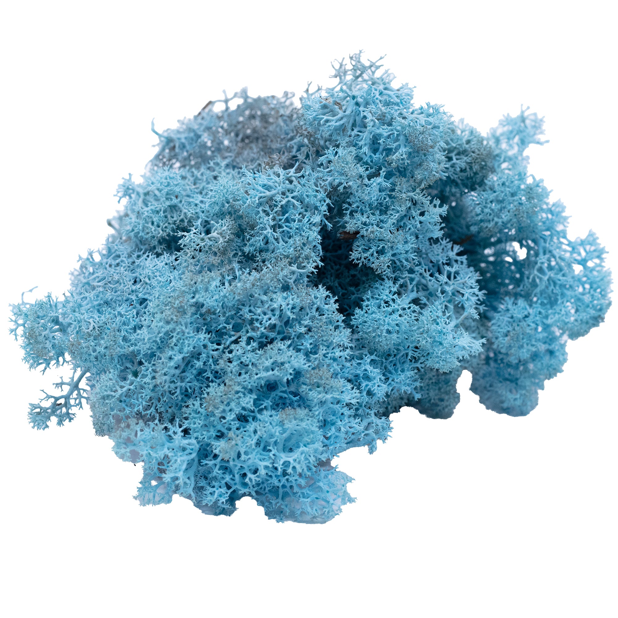 Karton Islandmoos Aquamarin/Hellblau 500g