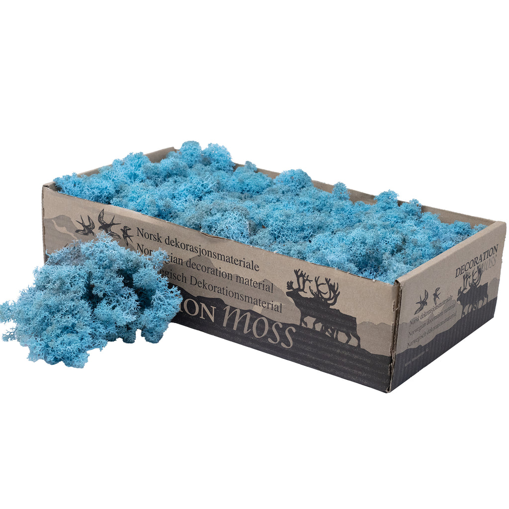 Cardboard Island moss aquamarine/light blue 500g