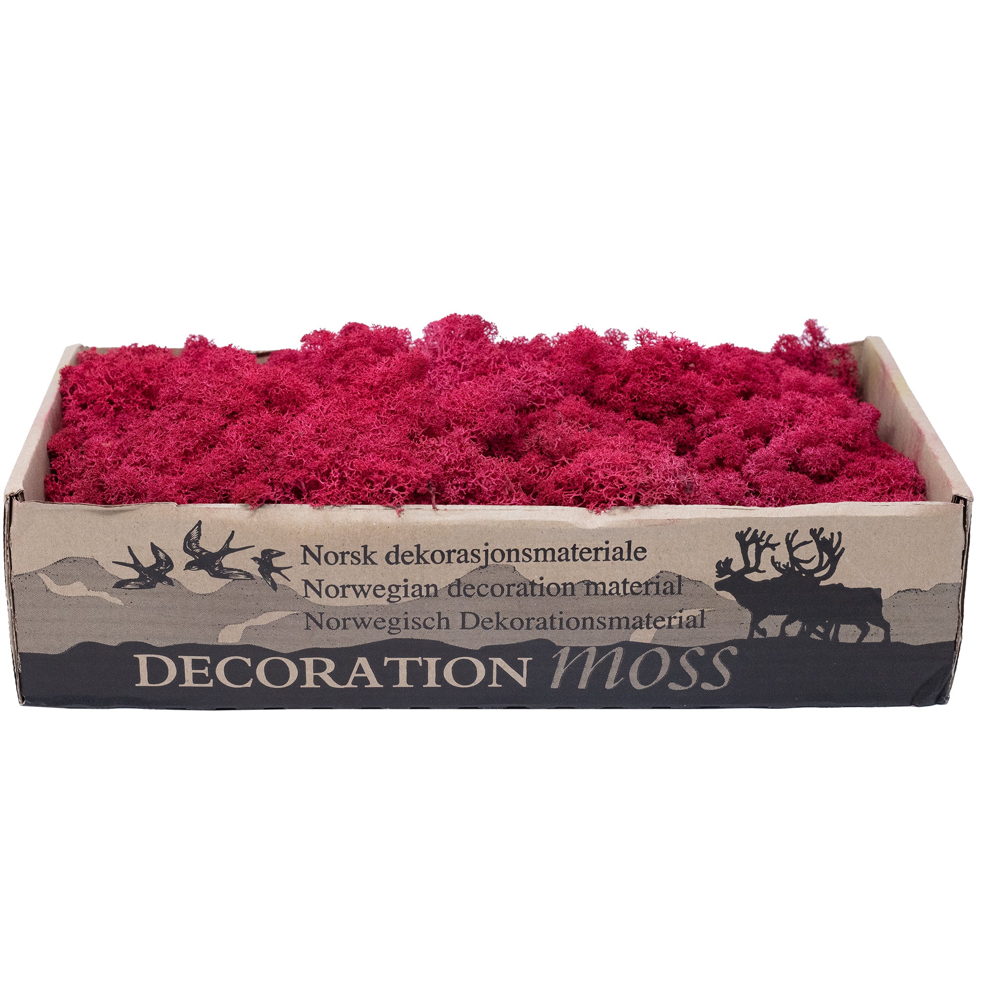 Karton Islandmoos Purpurrot 500g