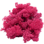 Karton Islandmoos Purpurrot 500g