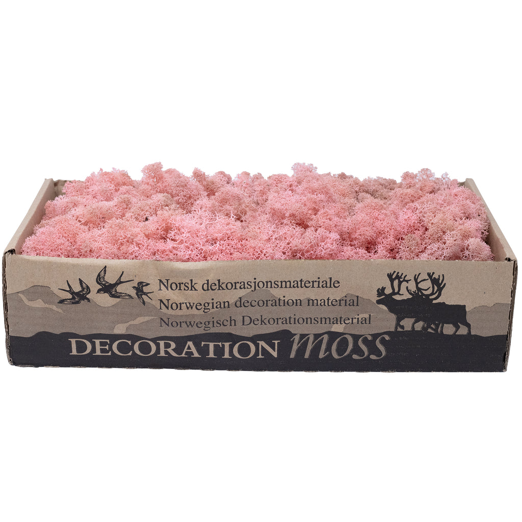 Mousse de Cardboard Island, rose ancienne, 500 g