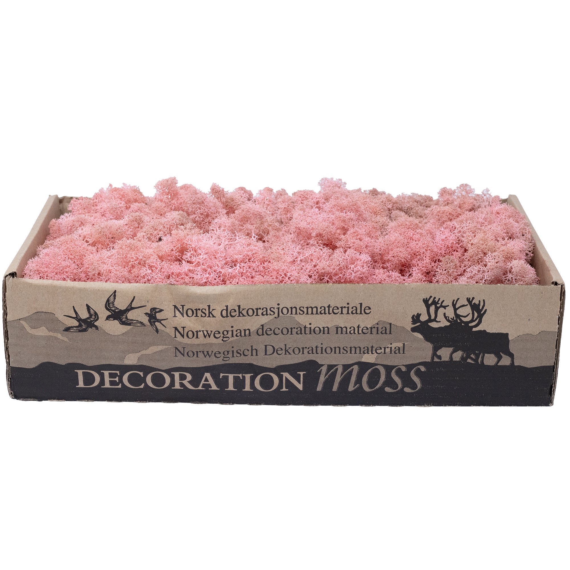 Mousse de Cardboard Island, rose ancienne, 500 g