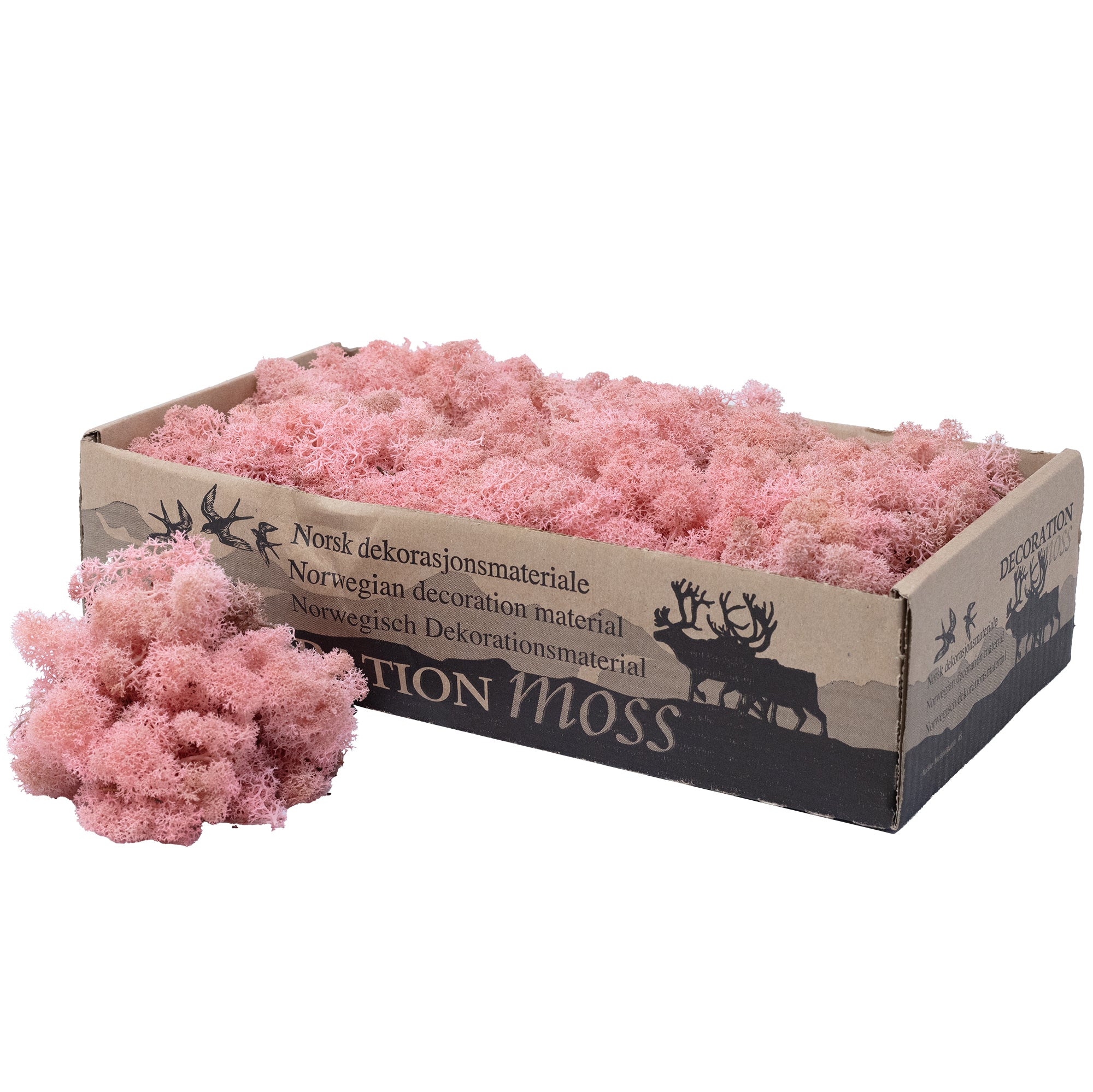 Mousse de Cardboard Island, rose ancienne, 500 g