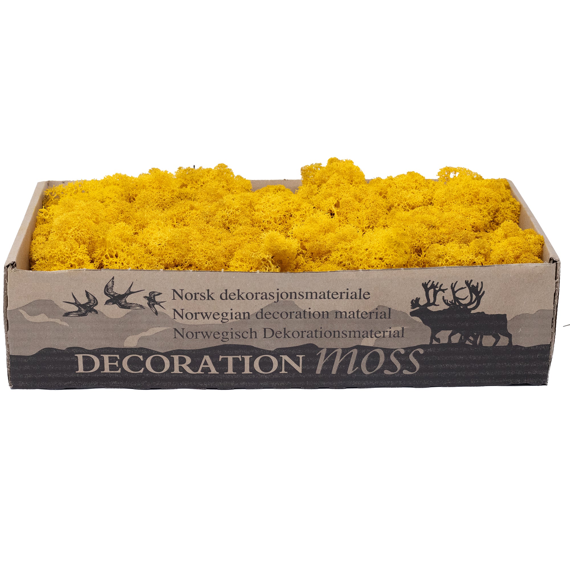 Carton Islande mousse jaune moutarde 500g