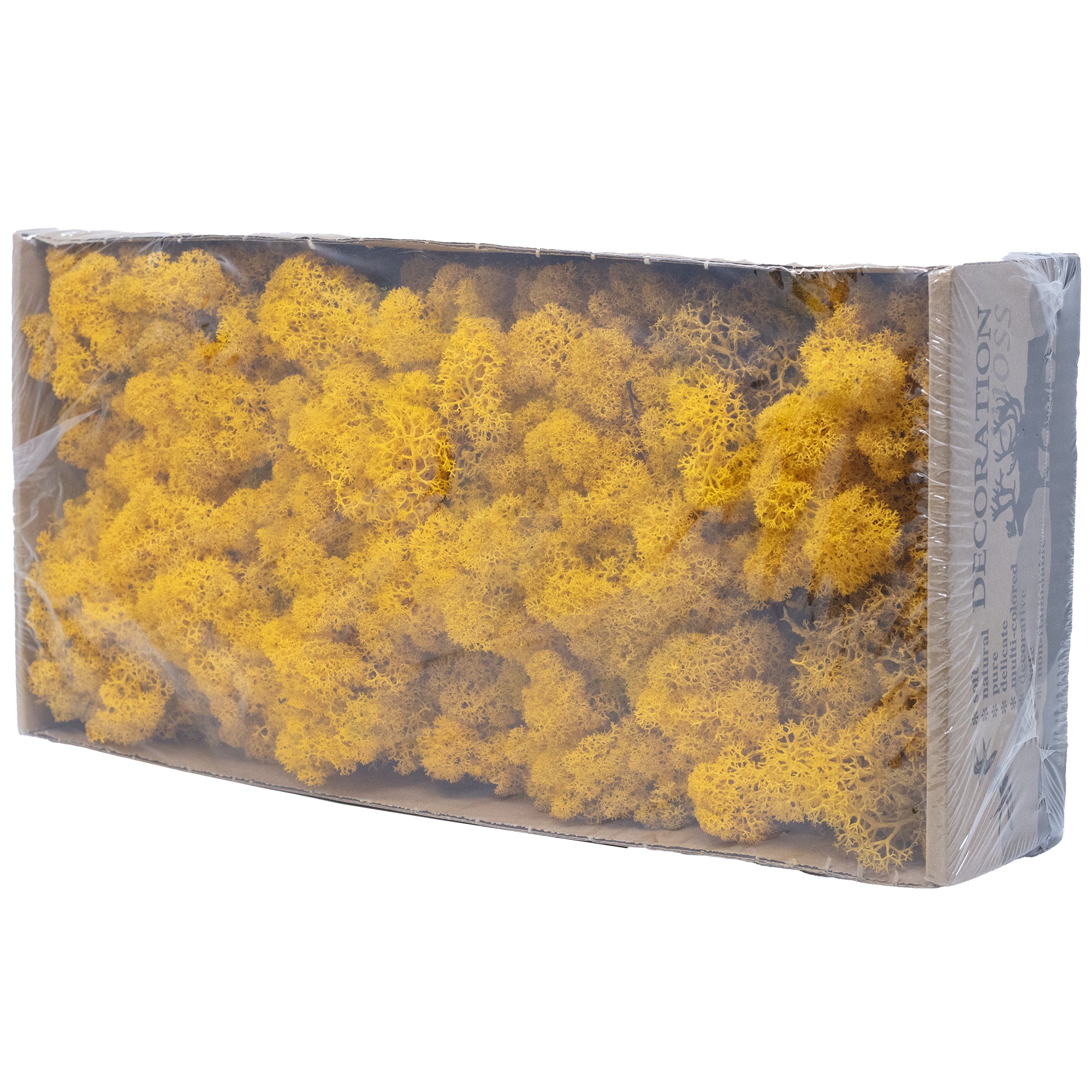 Carton Islande mousse jaune moutarde 500g