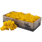 Carton Islande mousse jaune moutarde 500g