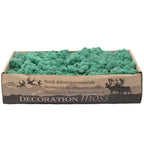 Cardboard Island moss blue-green 500g