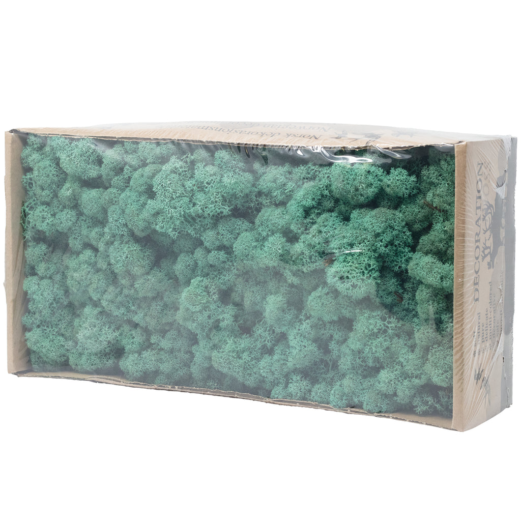Cardboard Island moss blue-green 500g