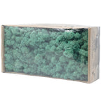 Cardboard Island moss blue-green 500g