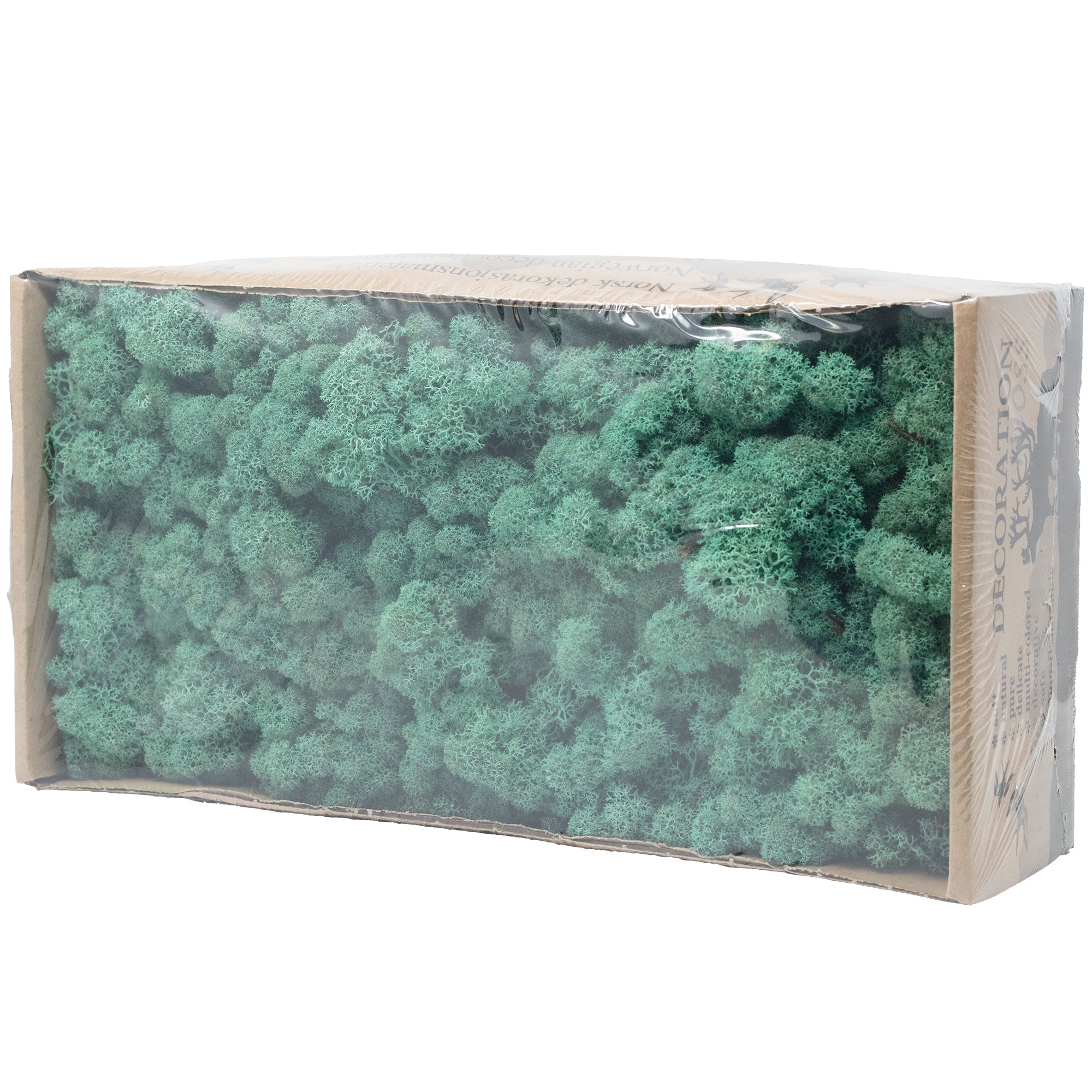 Cardboard Island moss blue-green 500g