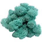 Cardboard Island moss blue-green 500g