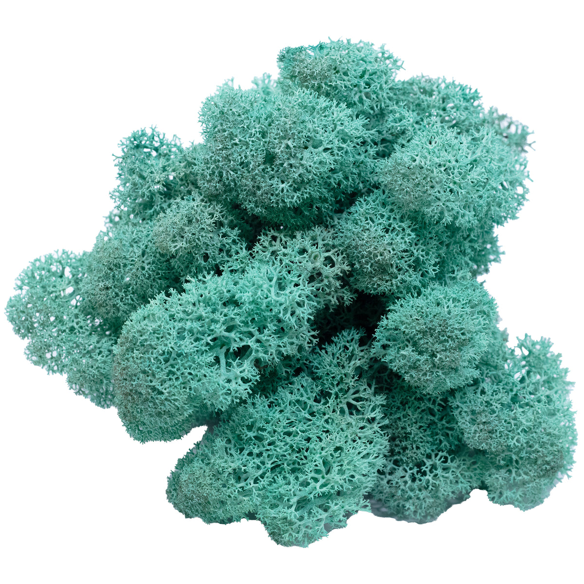 Cardboard Island moss blue-green 500g