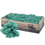 Cardboard Island moss blue-green 500g