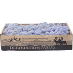 Karton Islandmoos Lavendel 500g