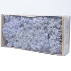 Karton Islandmoos Lavendel 500g