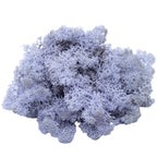 Karton Islandmoos Lavendel 500g