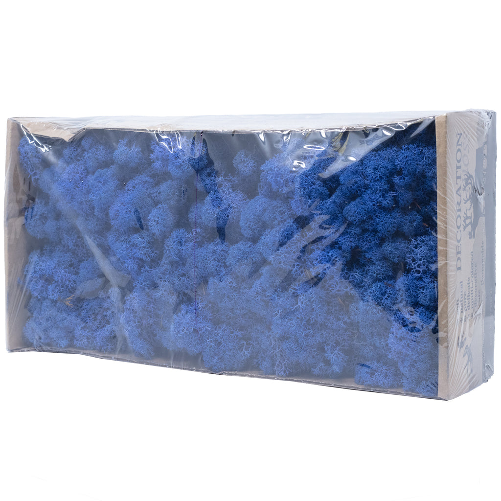 Karton Islandmoos Königsblau 500g