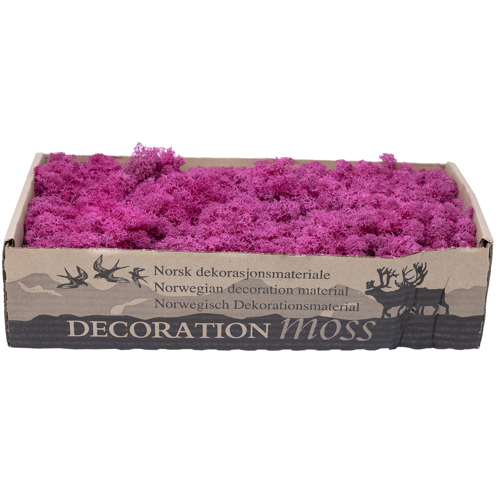 Karton Islandmoos Erika-Violett 500g