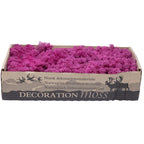Karton Islandmoos Erika-Violett 500g