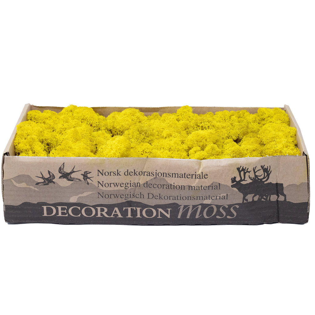 Cardboard Island moss lemon yellow 500g