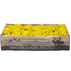 Cardboard Island moss lemon yellow 500g