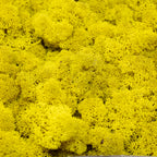 Cardboard Island moss lemon yellow 500g
