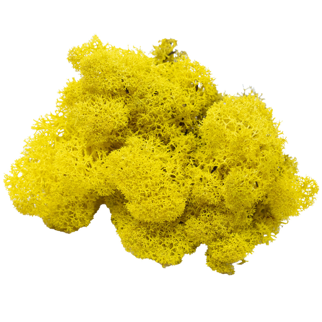 Cardboard Island moss lemon yellow 500g