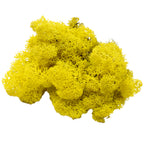 Cardboard Island moss lemon yellow 500g