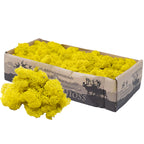 Cardboard Island moss lemon yellow 500g
