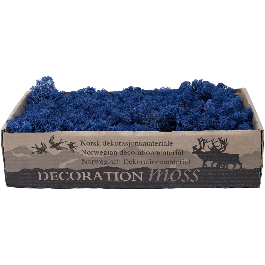 Karton Islandmoos Dunkelblau 500g