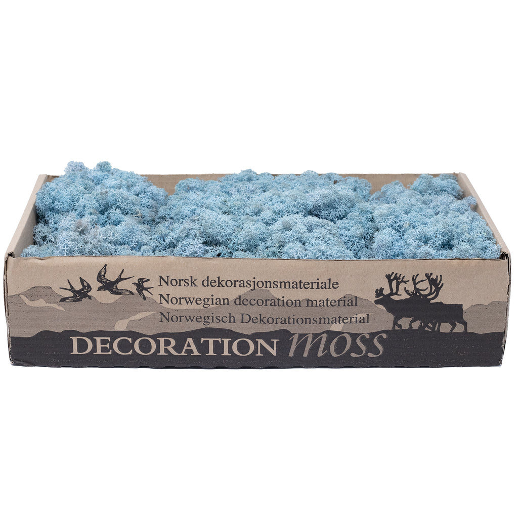 Cardboard Island moss ice blue 500g