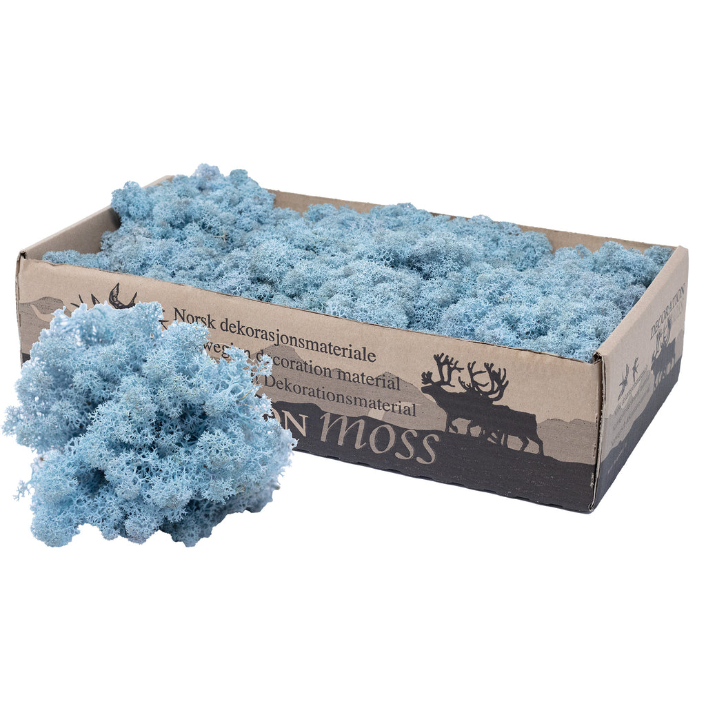 Cardboard Island moss ice blue 500g