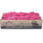 Karton Islandmoos Fuchsia 500g